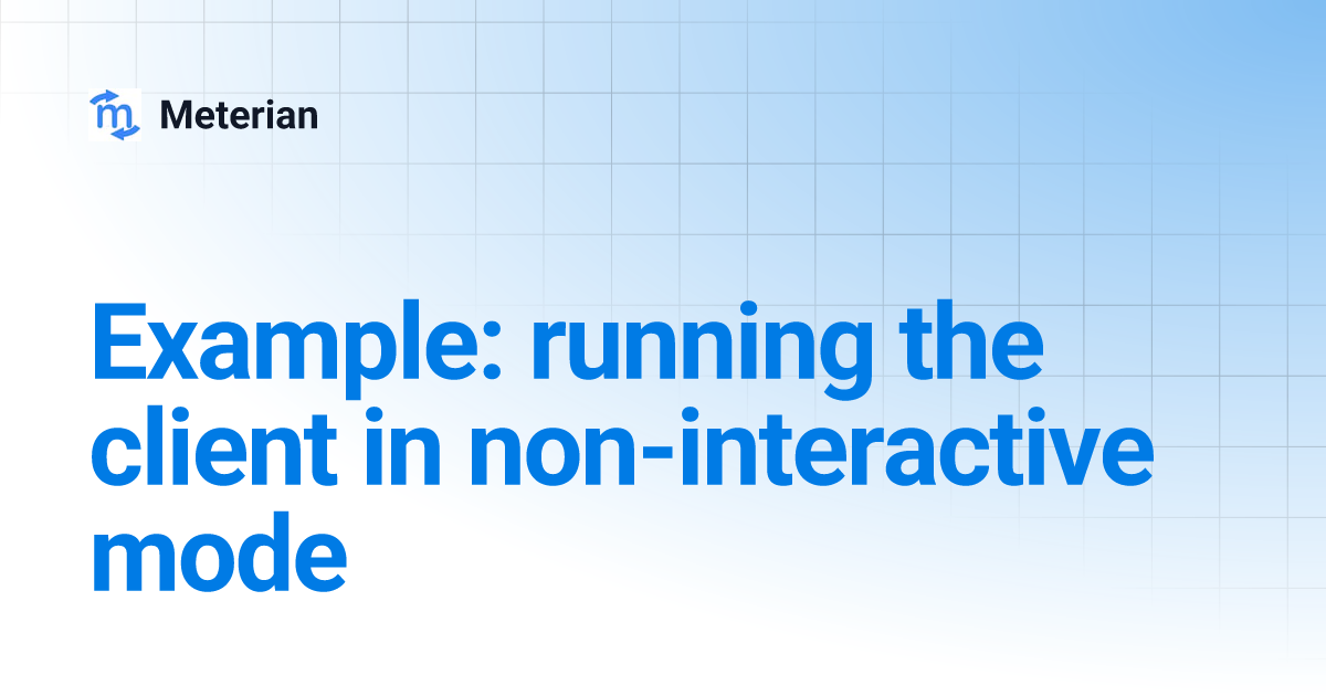 Example: running the client in non-interactive mode | Meterian
